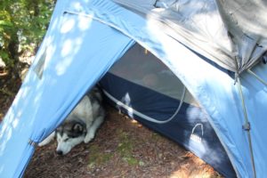 n16_sleeping in tent4_web